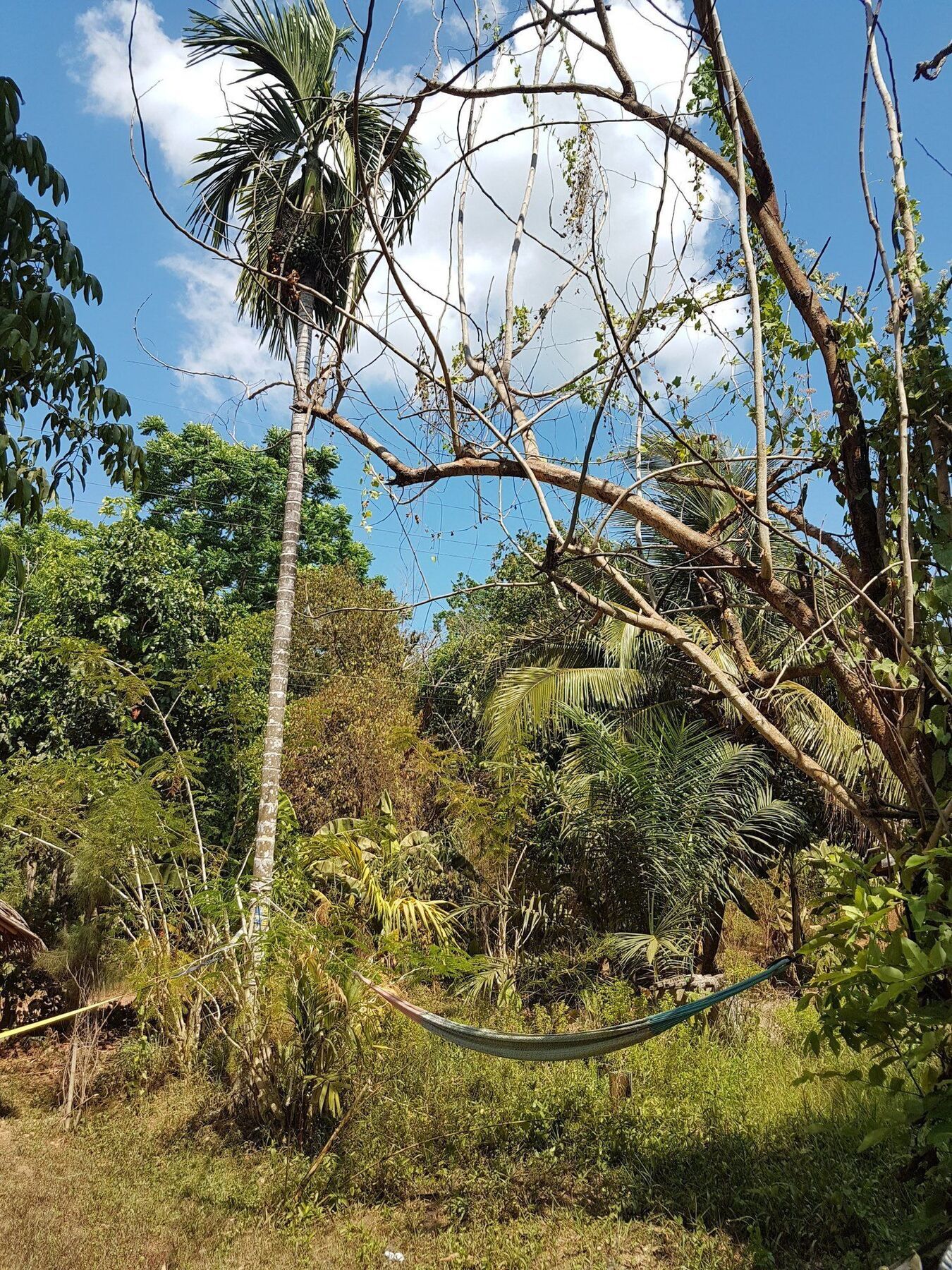Slacklines Hostel Ko Lanta Buitenkant foto